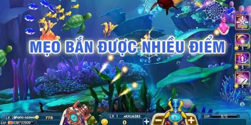 đăng nhập poker trực tiếp