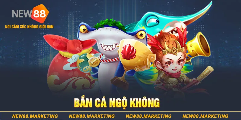 long bảo baccarat la gì