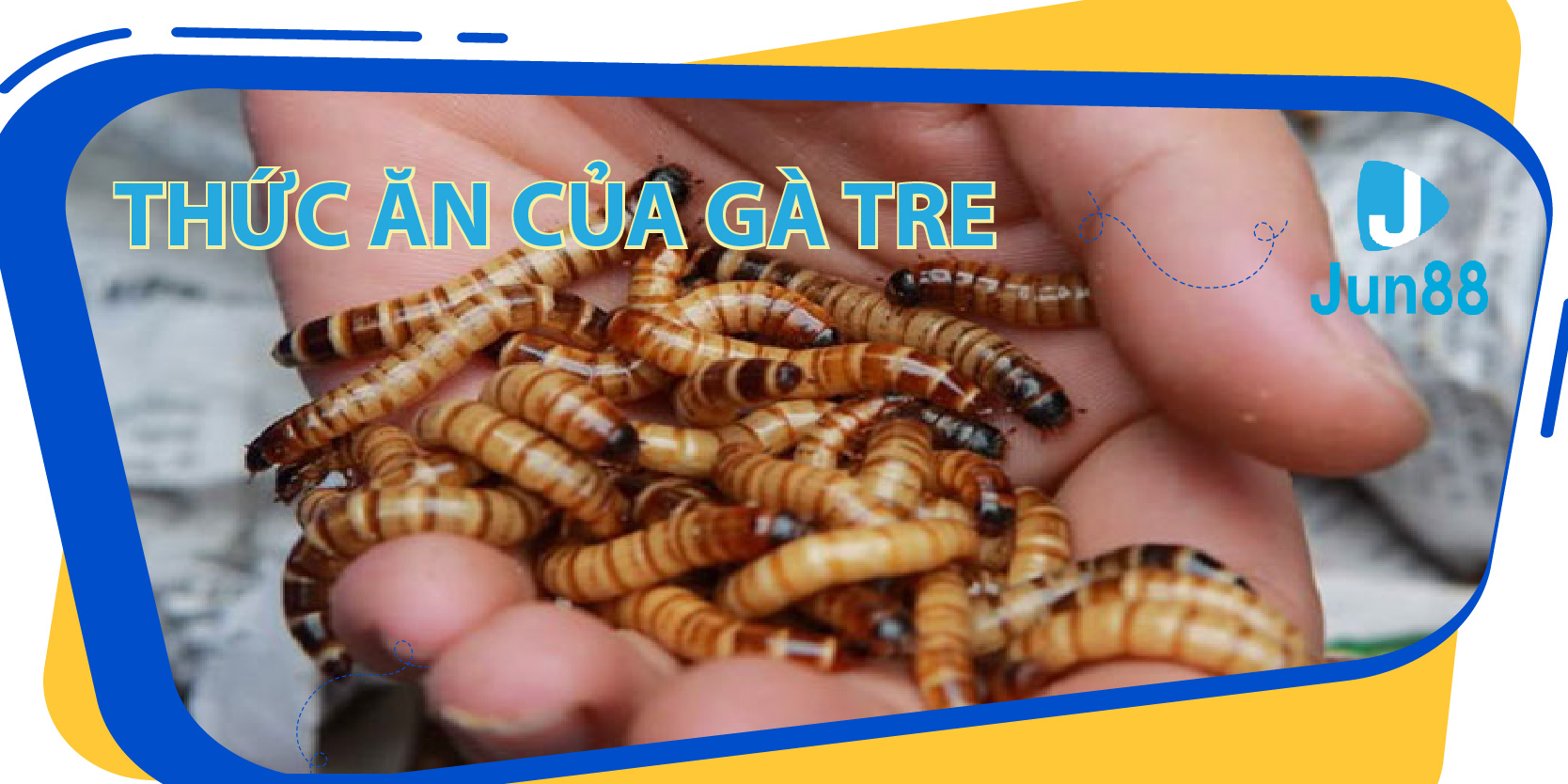 đăng nhập roulette trực tiếp