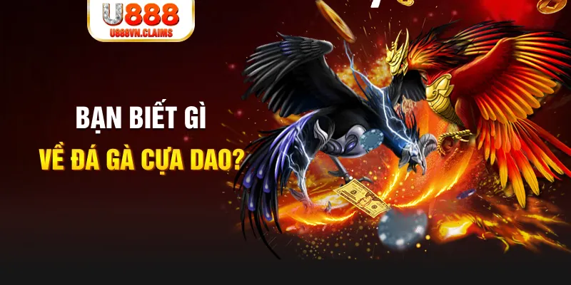 w88 link gà chọi đắk pơ
