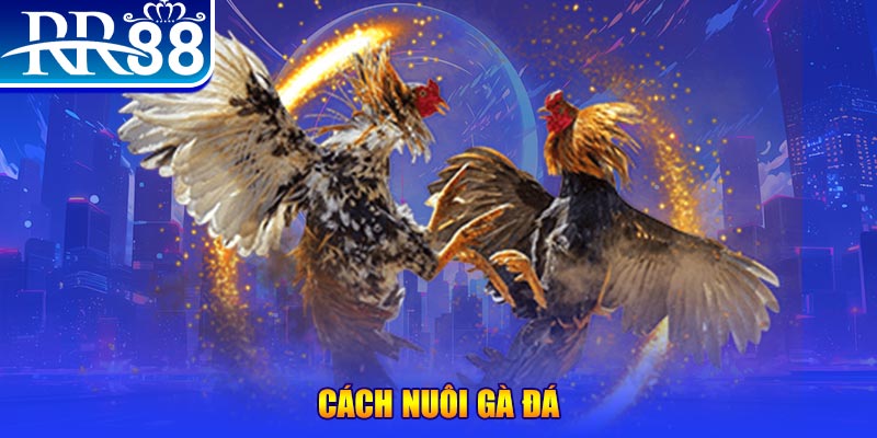w88 link khi nào thì nổ hũ tài xỉu