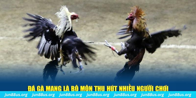 w88 link đá gà trực tiếp casino