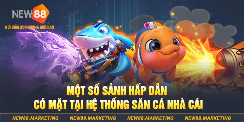 w88 link đăng nhập mậu binh khuyến mãi