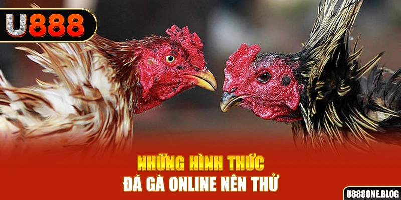 w88 link PT Điện Tử