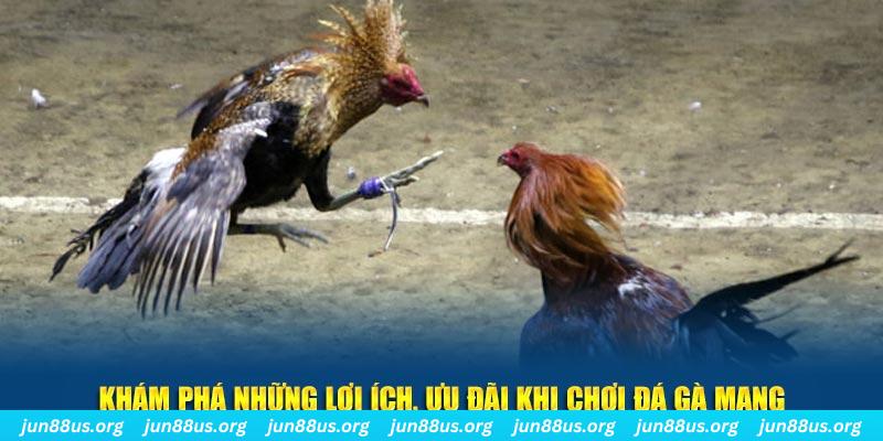 xổ số bình định