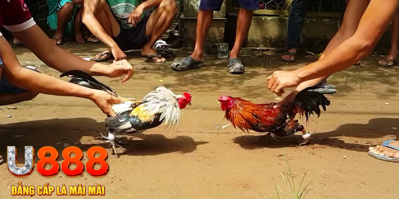 đăng nhập nổ hũ hàng đầu