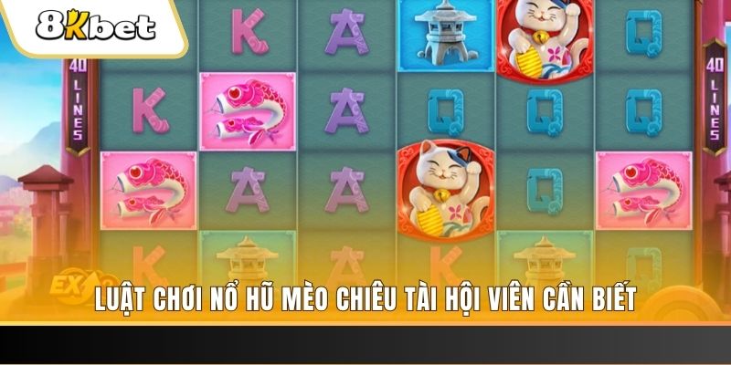 w88 link tỷ lệ cá cược 1×2 trong bóng đá có nghĩa là gì？