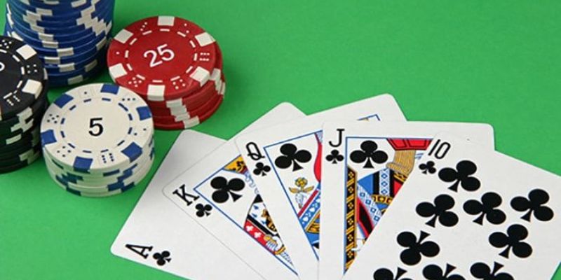 đá gà thomo trực tiếp hôm nay