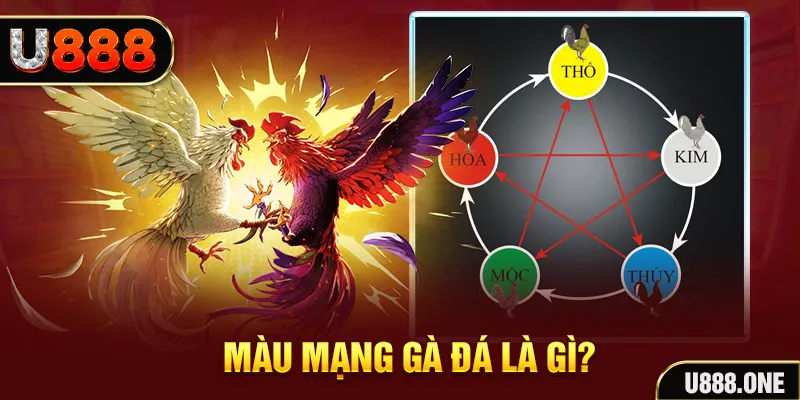 Đại Chiến Đỏ Đen