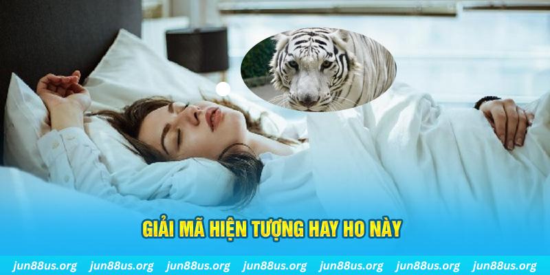 đăng nhập tiến lên miền nam 2024