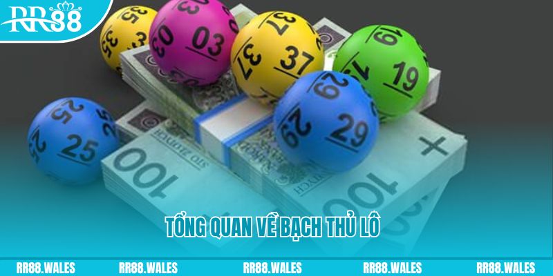 w88 link đăng nhập mậu binh số 1