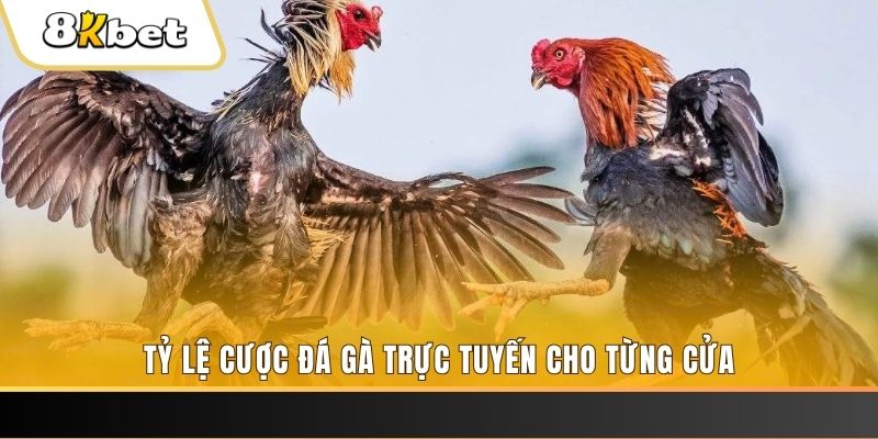 w88 link 68 game bài có uy tín không