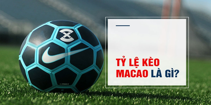 máy slot