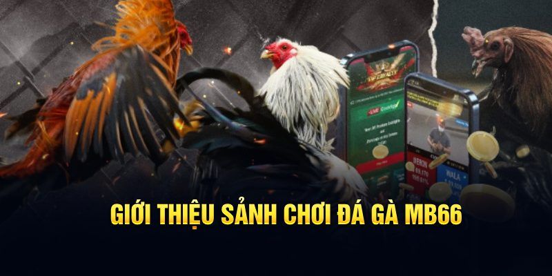 nhạc slot là gì
