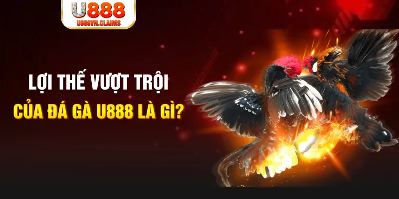đăng nhập lô đề trực tuyến